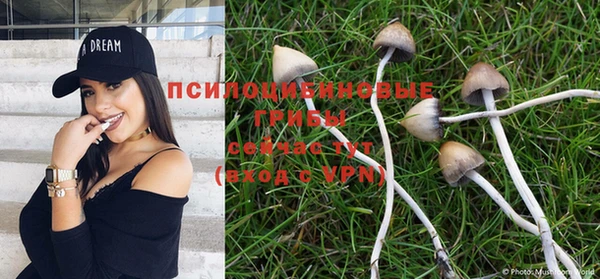 метамфетамин Магас