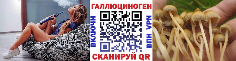 закладки  Правдинск  Галлюциногенные грибы Magic Shrooms 